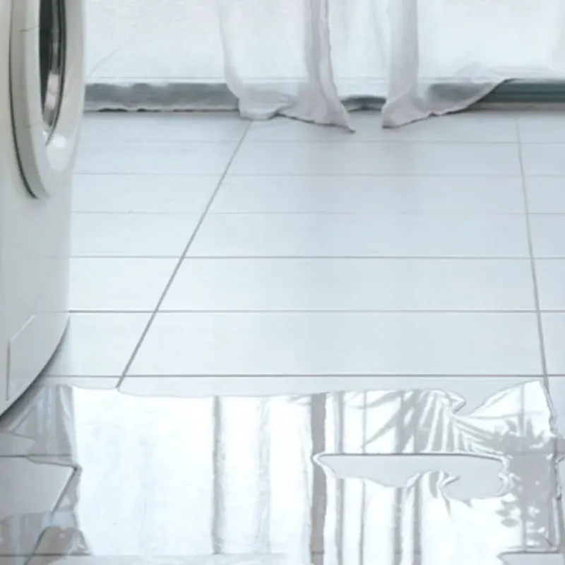 Appliance Leak Cleanup in Weimar, TX