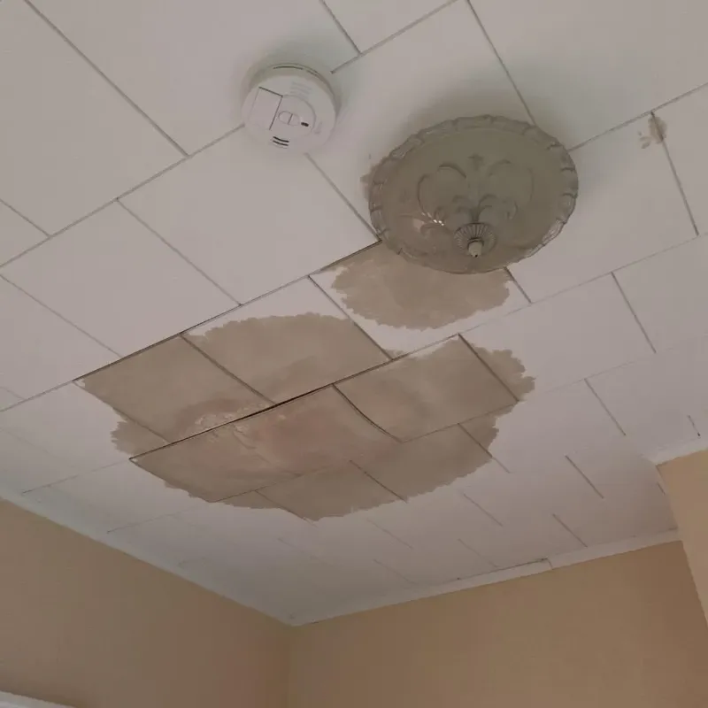 Ceiling Water Damage Repair in Weimar, TX