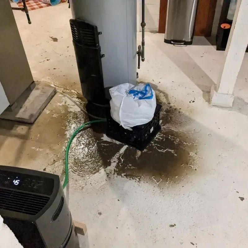 Sewage Backup Cleanup Service in Weimar, TX